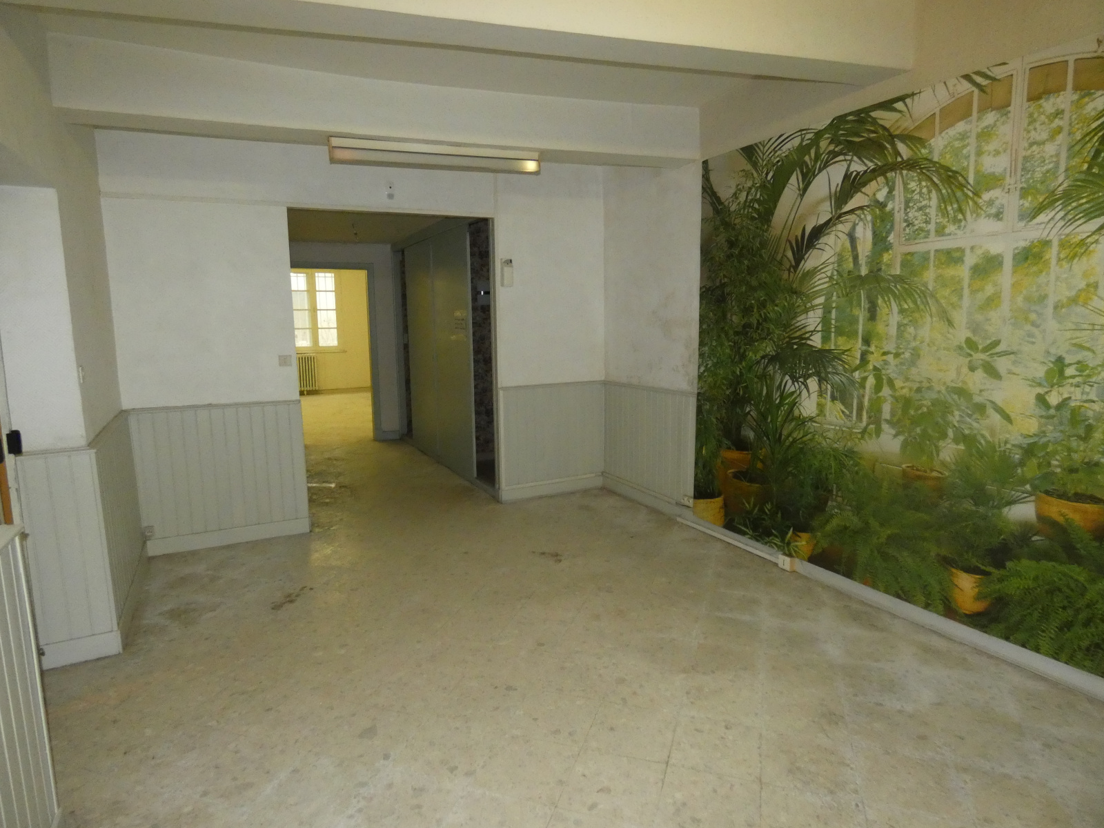 Image_, Local professionnel, Carcassonne, ref :3034