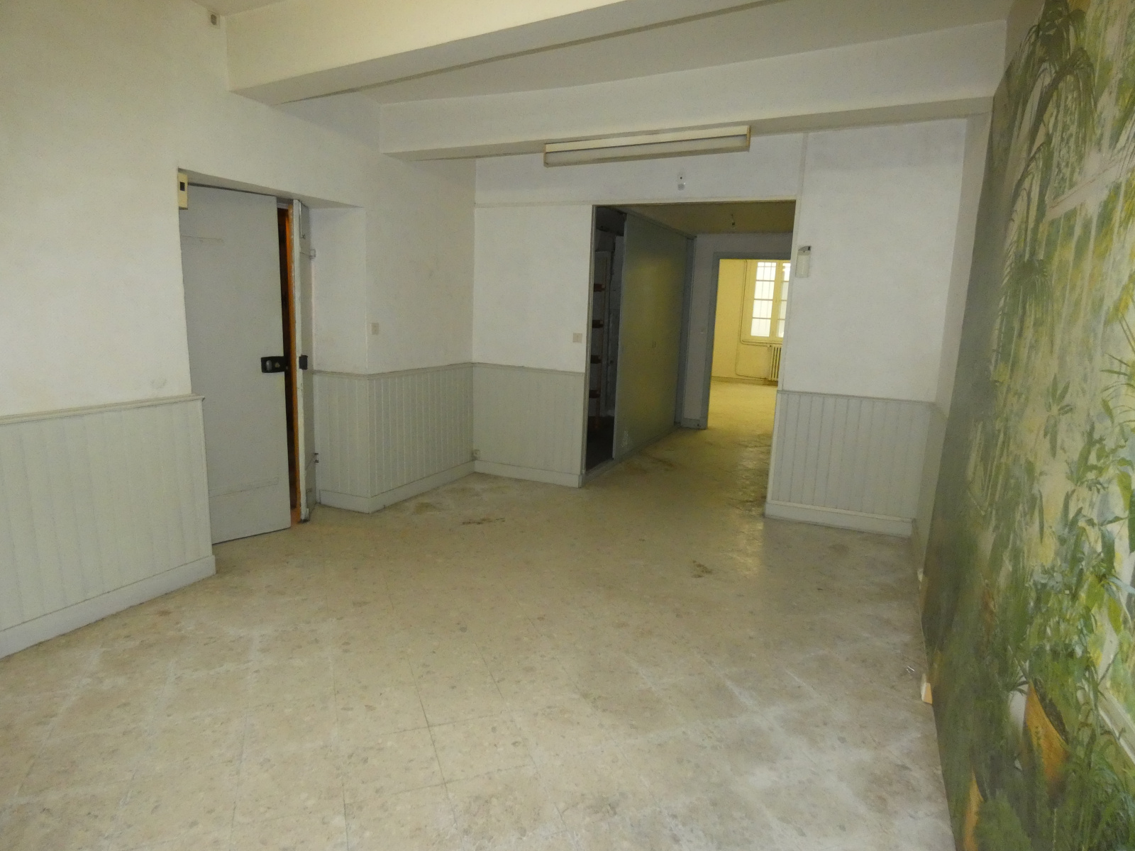 Image_, Local professionnel, Carcassonne, ref :3034