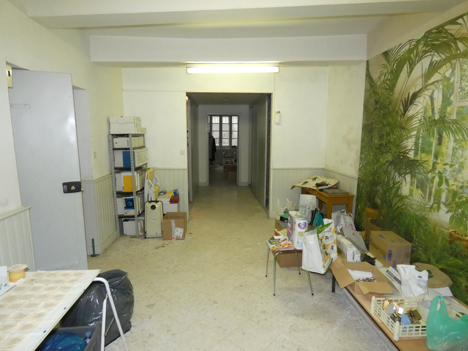 Image_, Immeuble, Carcassonne, ref :2998