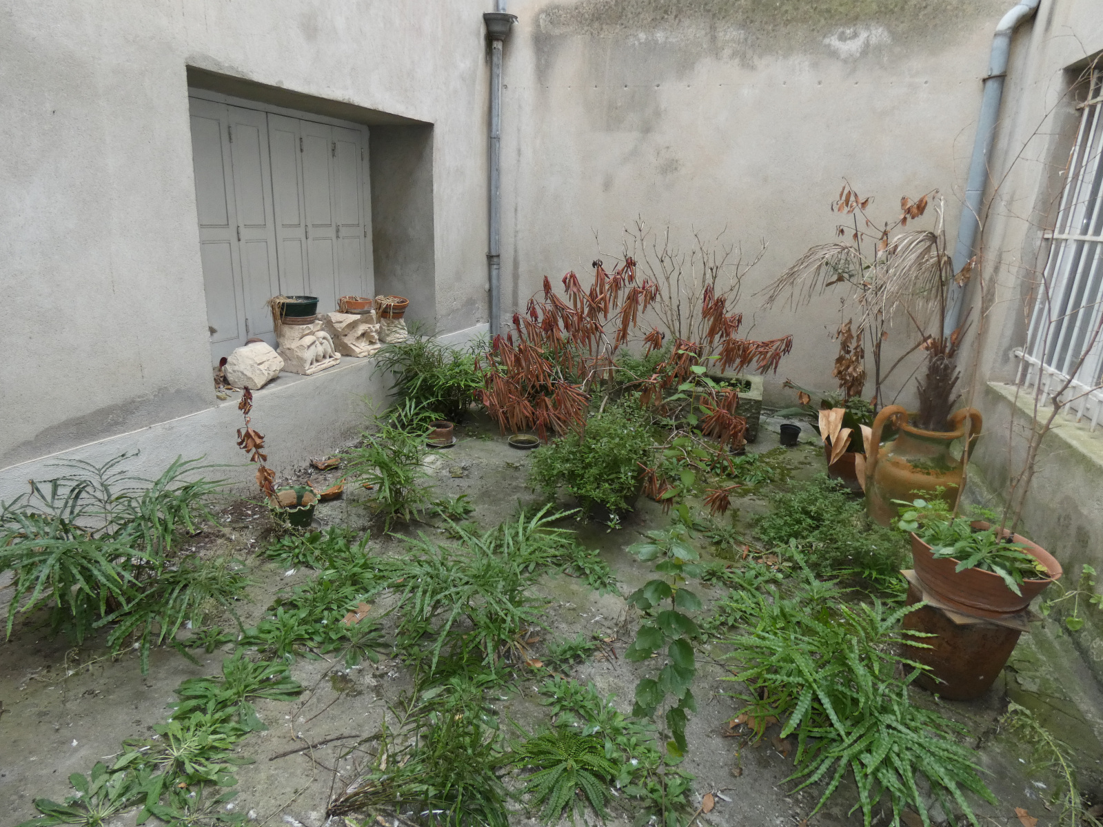 Image_, Immeuble, Carcassonne, ref :2998