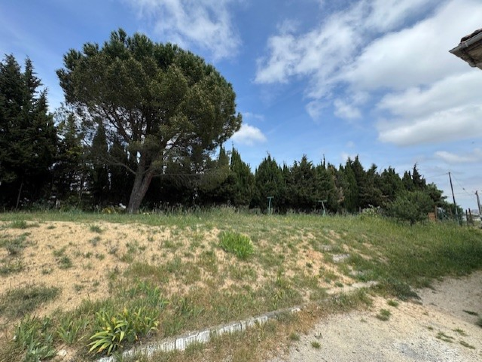 Image_, Appartement, Carcassonne, ref :336