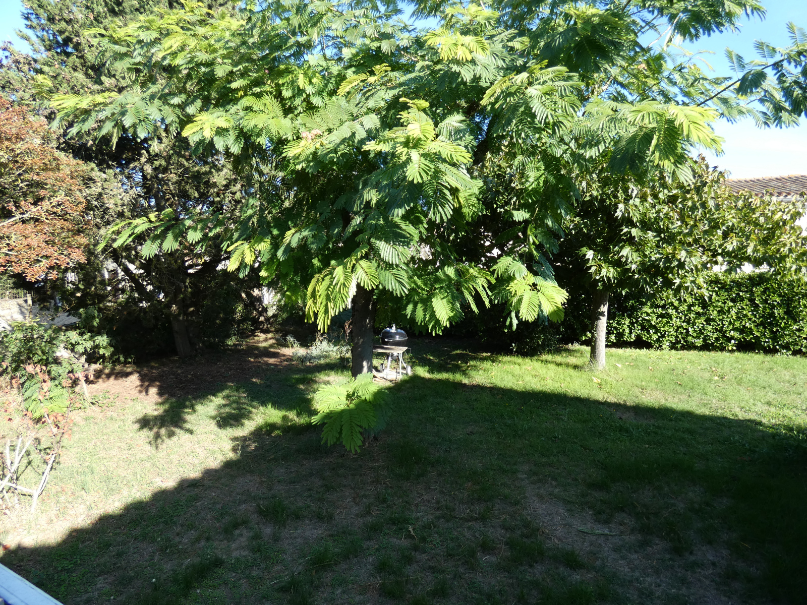 Image_, Maison, Caux-et-Sauzens, ref :2994