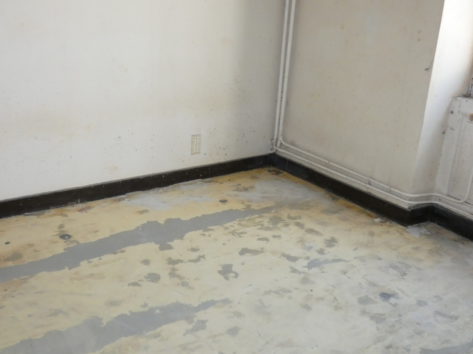 Image_, Appartement, Carcassonne, ref :2979