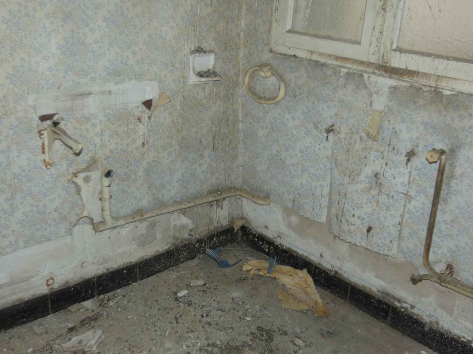 Image_, Appartement, Carcassonne, ref :2979
