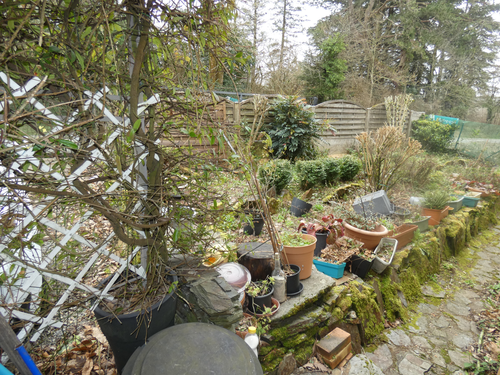 Image_, Maison, Martys, ref :3011